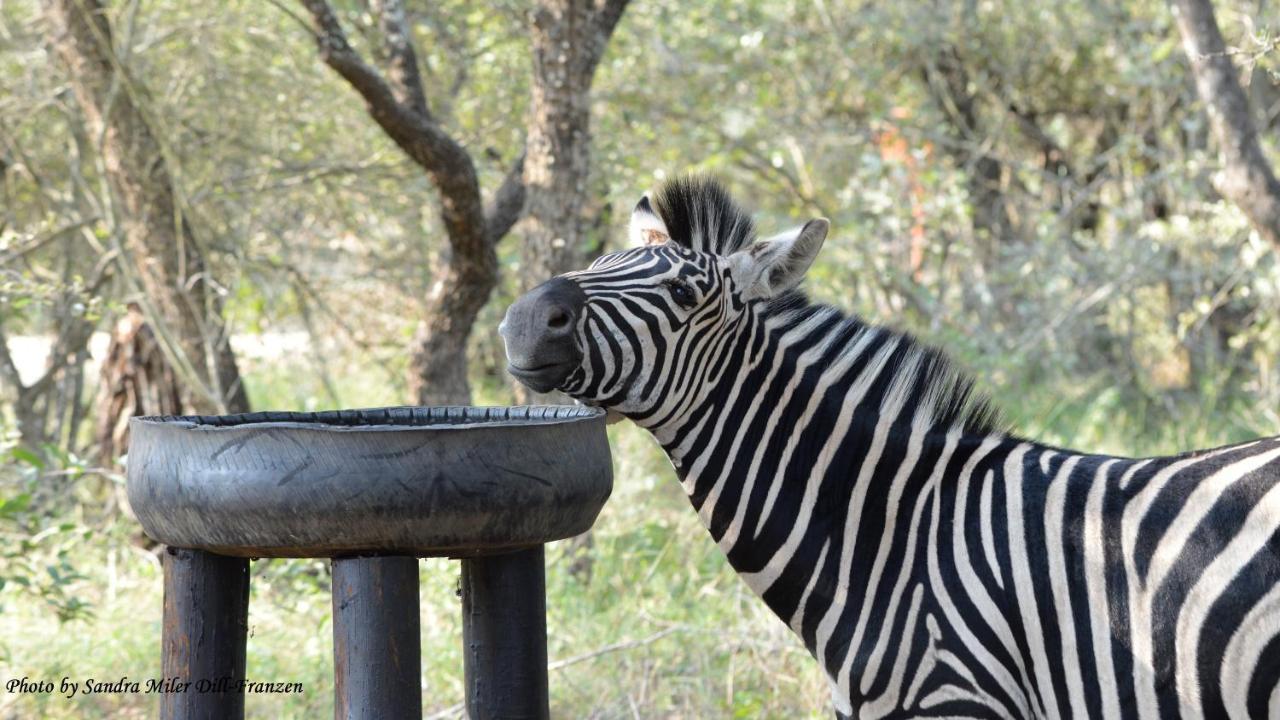 Ubuntu Bed And Breakfast Marloth Park Eksteriør billede
